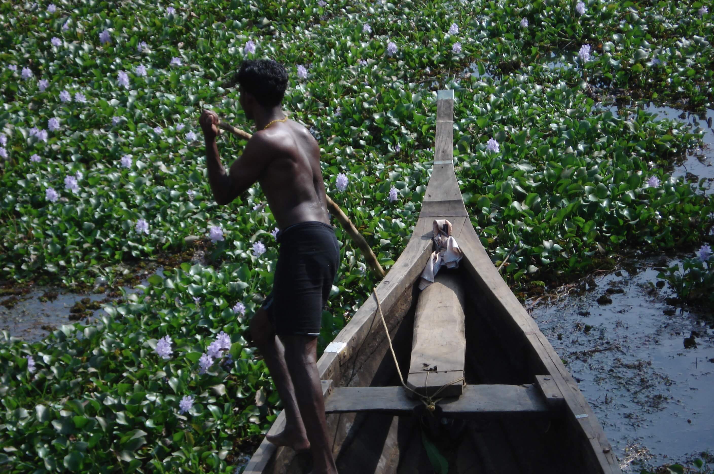 inz _ sibren oosterhaven _ backwaters kerala.jpg